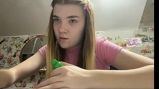 VerdaGormly webcam