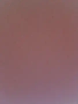 Evva_kis webcam
