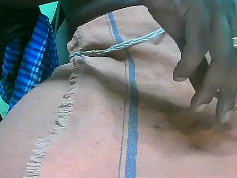 Precumking1 webcam