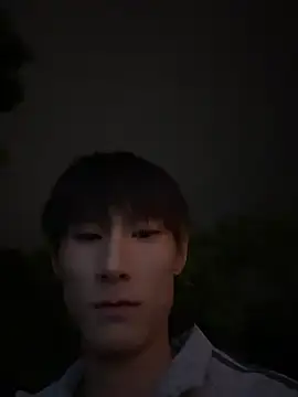 liuhang webcam