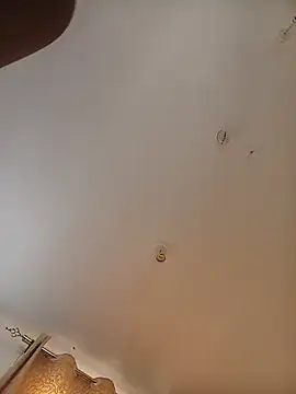 lavbird