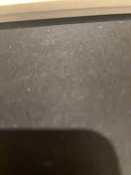 xianyu-ss webcam