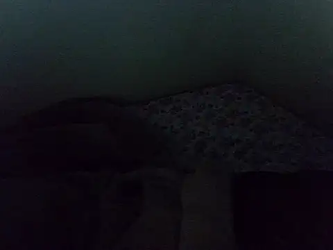 lainearia webcam