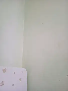 sua_sub_ webcam