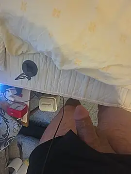BiBi0089 webcam