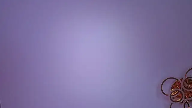 PerryKitty webcam