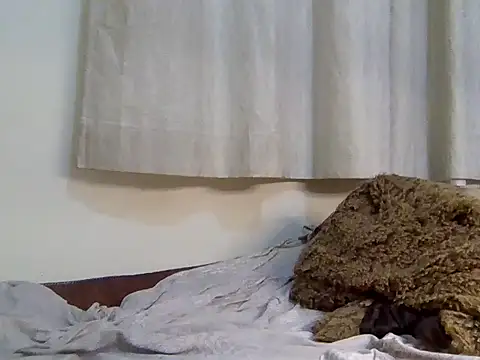 Sexy_mizrouh webcam
