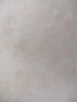 kBossgirls webcam