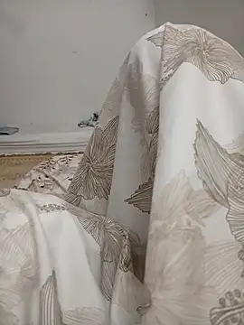 zakimadrid12 webcam