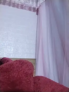 Wily-06 webcam