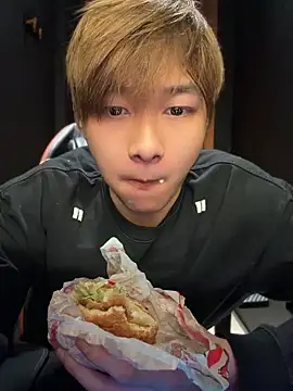 Vi_1314 webcam