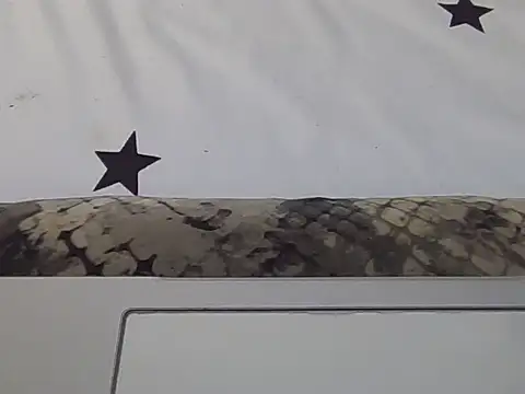 lily_tequila webcam