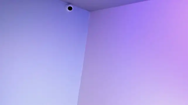Moni_risitos