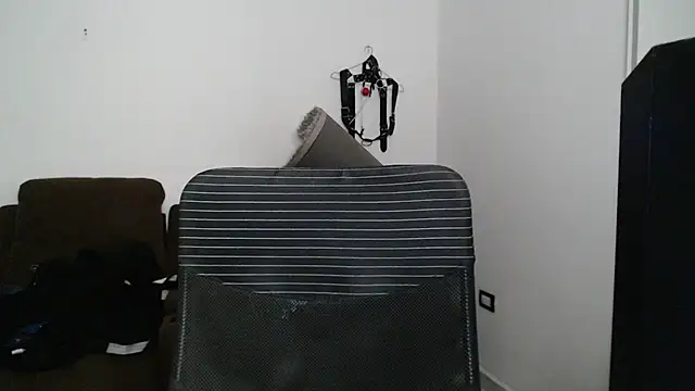 harold_18_ webcam