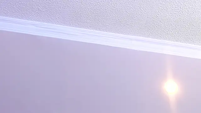 Amypond__ webcam