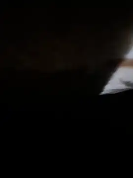 Hogi99 webcam