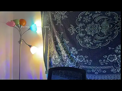 maximo_2019 webcam