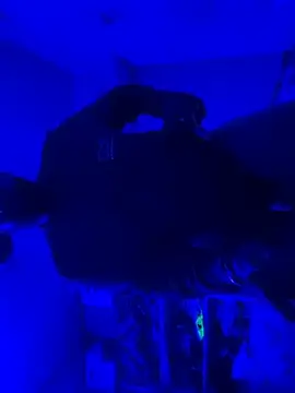 Indian_cock1 live cam on StripChat