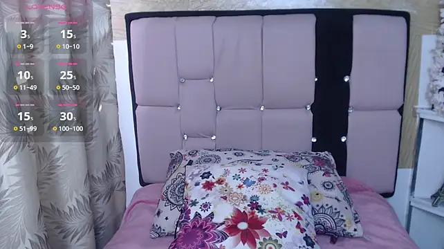 palmer_mIix webcam