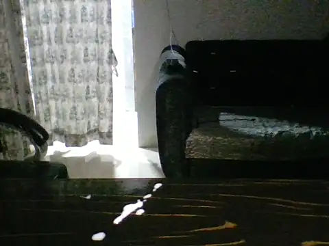 wildguycumsxx live cam on StripChat