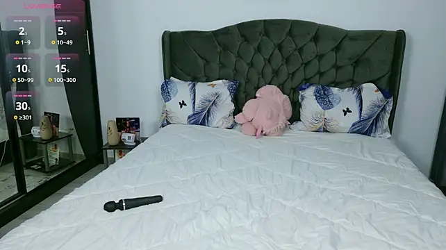 Nicol2Naya webcam