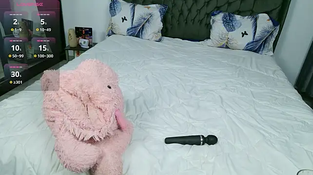 Nicol2Naya webcam