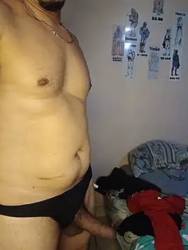Stevin-gre6 webcam