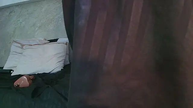 Dixie_grey1 webcam