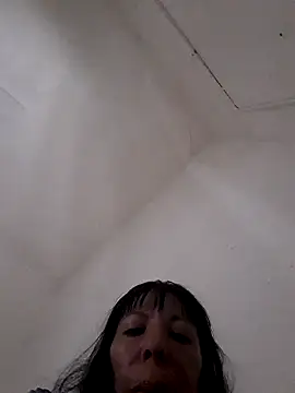 vio86 webcam