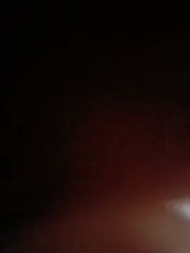 dickmentation webcam