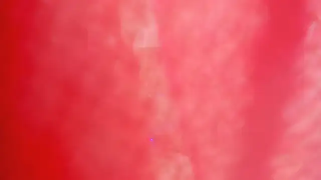 Little_ebonyx webcam
