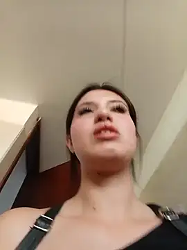 SALOME-28_ webcam