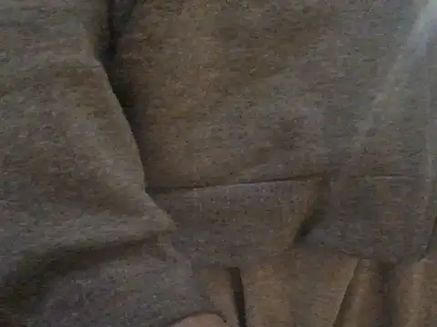 tanobighorse webcam