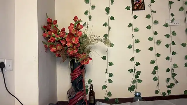 Naira_fit webcam