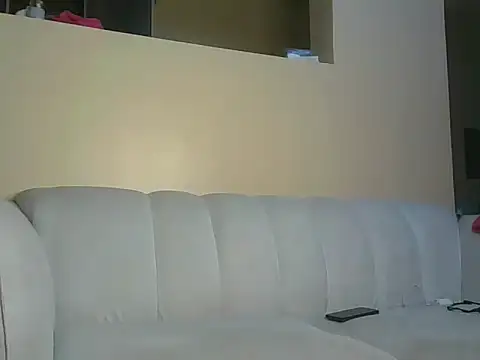 medinakyla webcam
