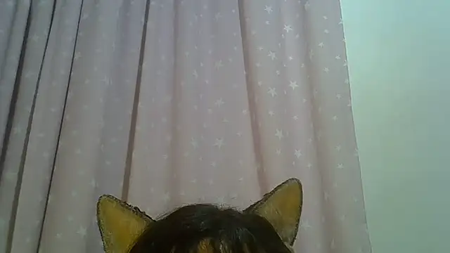SkinnyKitten webcam