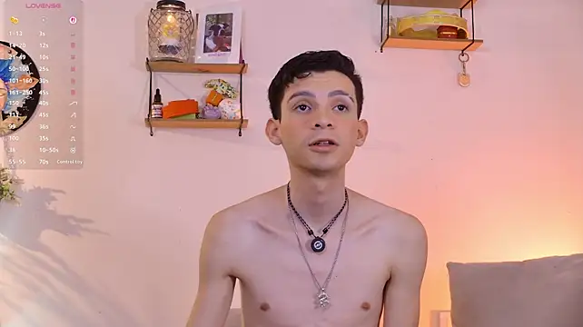 VicenteFerrer webcam