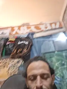 Toycockhot live