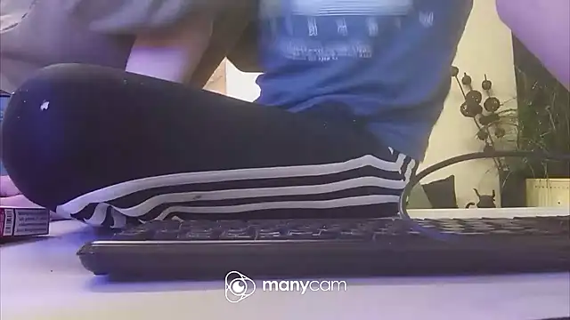 der_dino30 webcam