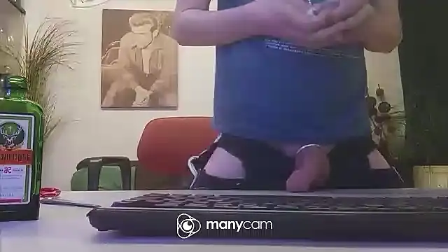 der_dino30 webcam