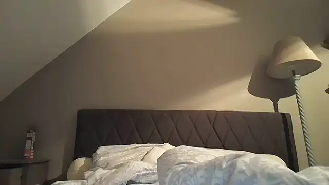 3615_ULLA webcam