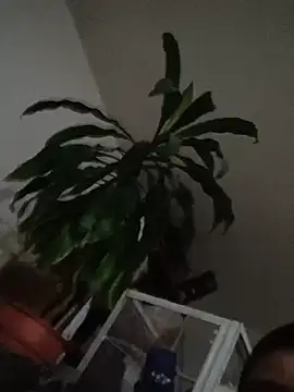 Toscarz8v