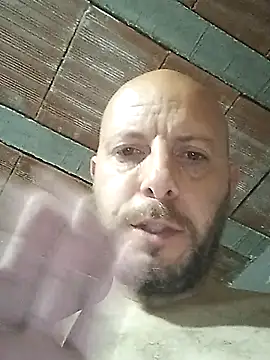 danmep8387