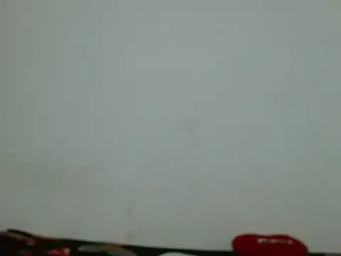catalina_salo