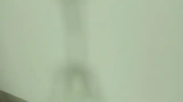 LiaCampbell_