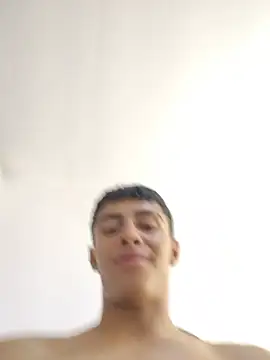 Bruno_fox webcam