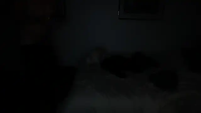 FckbbOy webcam