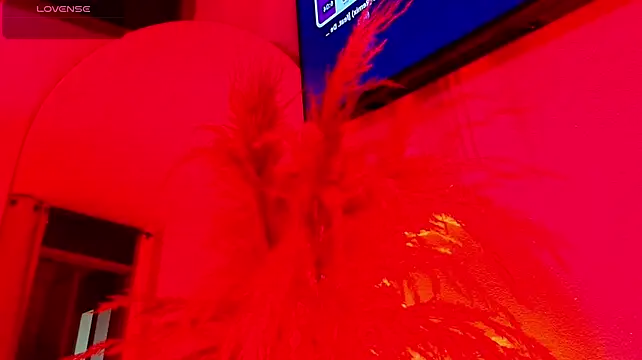 Samy_Grey01 webcam