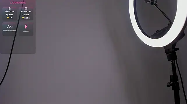 fuckyou_alexa webcam