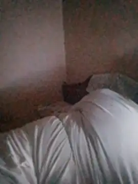 elpoop7305 webcam